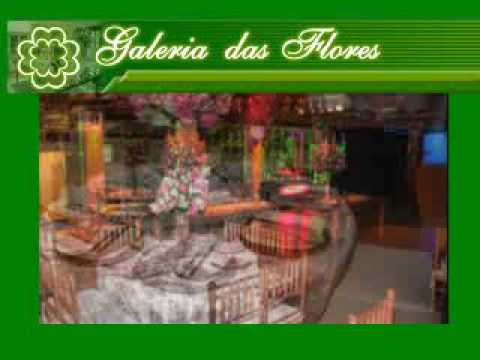 Programa Neusa Bighetti, exibido no dia 04/10/2009 - Galeria das Flores