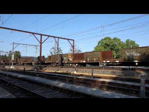 4 NR's elephant style lead 6NY3