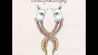 The Sound of Animals Fighting - Act IV: You Don't Need a Witness [HQ]