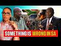 The TRUTH Behind South Africa S Xenophobia Crisis And Why We Should Be Worried