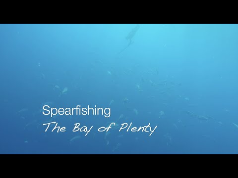 Wettie TV- Spearfishing The Bay of Plenty