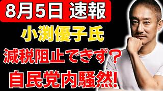【自民党内騒然】小渕優子氏、首相の減税決断を止められず？激しい反応にネット騒然