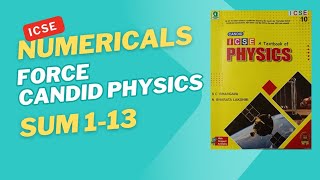 Numericals on force, icse physics, Candid Physics, class 10, numericals on moment, chapter 1