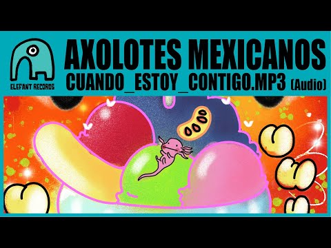 Cuando_estoy_contigo.mp3 - Axolotes Mexicanos