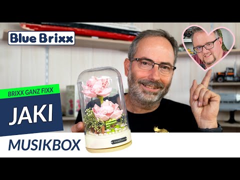 Musikbox Rosa Rose