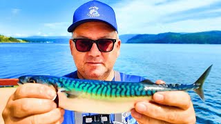 Simple Catch & Cook: Saltwater Mackerel