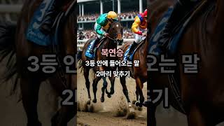 당신도 할 수 있다! 30초 만에 익히는 경마 베팅 비법