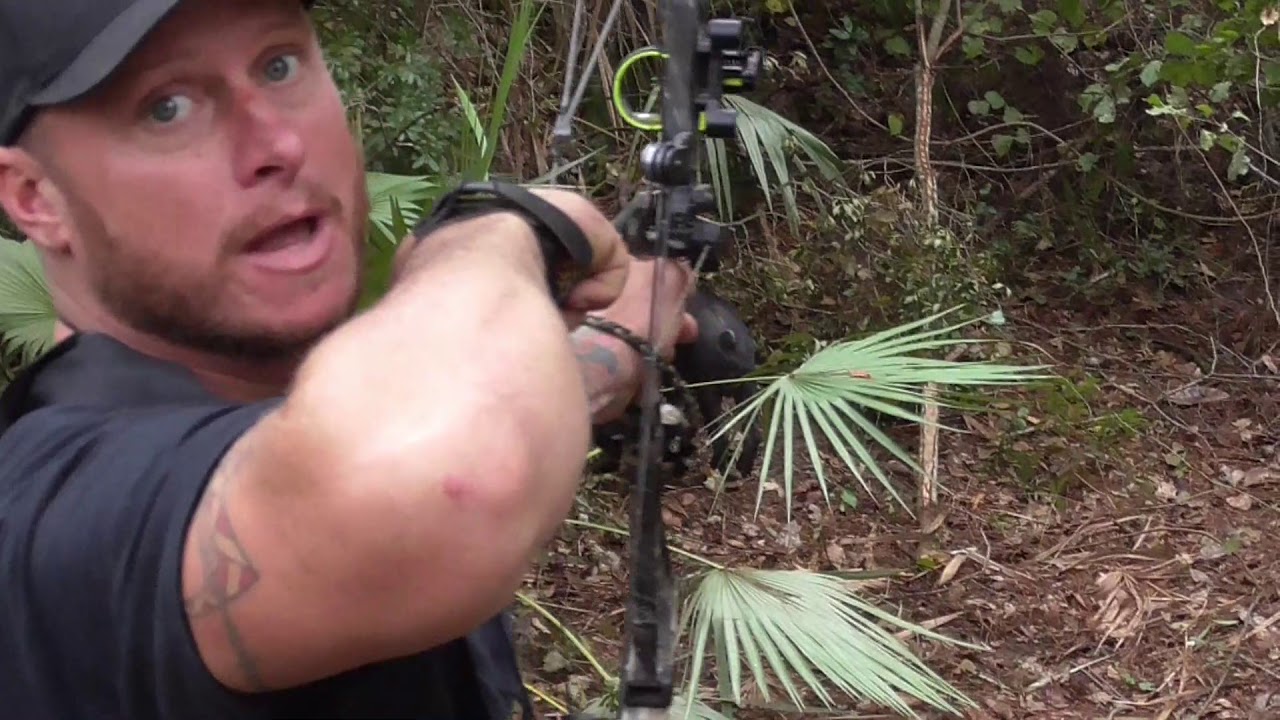 Skunk Ape Tree Stands:  Hunting hogs