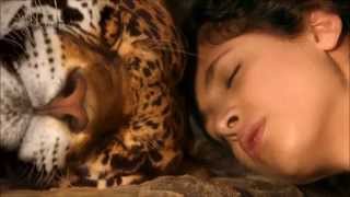 Pat Metheny - Better Days Ahead