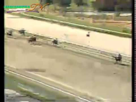 LA RINCONADA 5 CARRERA, DOMINGO 19 DE OCTUBRE DEL 2014