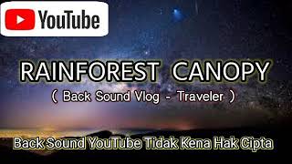 Back Sound Youtube Vlog Traveler - No Copyright - Rainforest Canopy