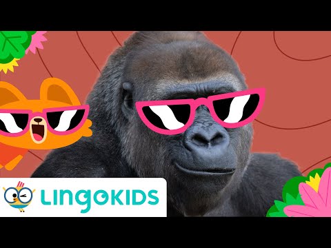 IT'S RAINING IT'S POURING IN THE RAINFOREST ☔ 🌴 Kids Song | Lingokids