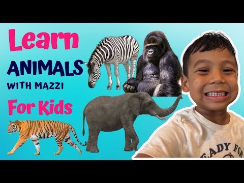 Learn Animal Names & Sounds with Mazzi! 🦁🐘🐶 Fun Educational Video for Kids!