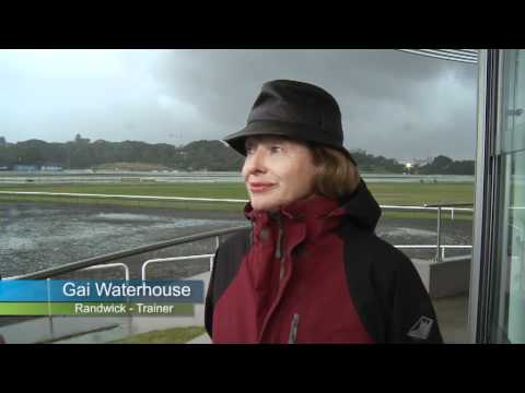 Chewin' The Fat Series2 Ep10