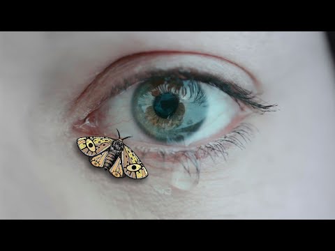 Encuentro para Cinéfagos 2025 / Trailer XV Festival de Cine-Arte en la Frontera