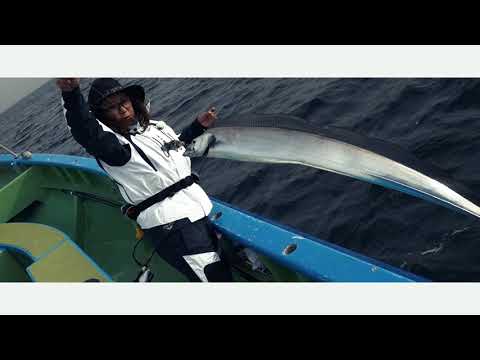 Gamakatsu LIBRA2 TVCM