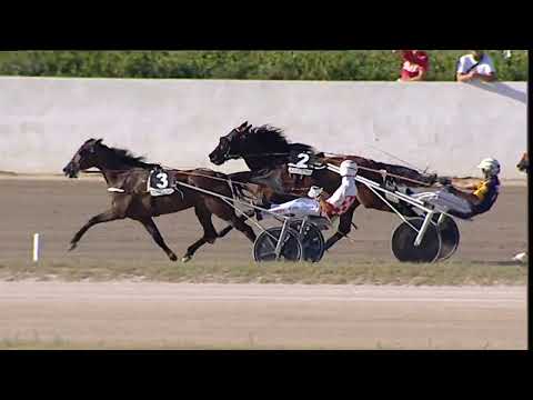 Napoli Trotto 10/09/2023 - 5ª corsa