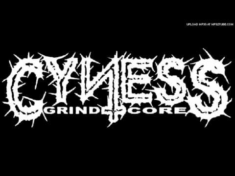 Cyness - Happy Slave