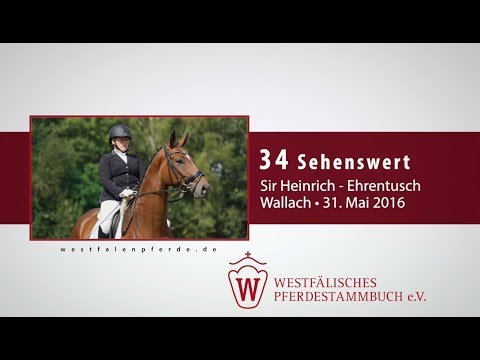 34 Sehenswert  Wallach v. Sir Heinrich - Ehrentusch