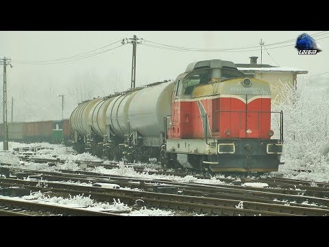 LDH1250 81-0807-3 la Manevră/Shunting  in Gara Episcopia Bihor Station - 14 January 2020