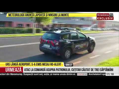 RO-Alert în Sibiu. Un urs se plimbă de 24 de ore prin oraş. Joi a fost văzut în zona aeroportului