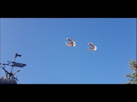 123. Nikolajevo aukštaskraidžiai Lietuvoje-27-Ukrainian Skycutters in Lithuania.2020.09.20.