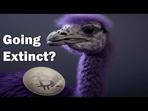 Is Nostr Dead? video thumbnail