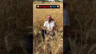 Download lagu Instagram Reels vs Wheat Harvesting! 😂 | Wheat Harvesting Comedy | Bhojpuri Comedy Short | mp3 Download lagu Instagram Reels vs Wheat Harvesting! 😂 | Wheat Harvesting Comedy | Bhojpuri Comedy Short | mp3
