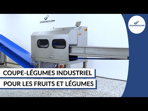 Coupe-légumes industriel bcm-3000_2
