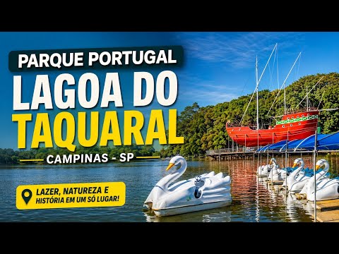 O LUGAR QUE VOCÊ PRECISA CONHECER EM CAMPINAS! 🦢#interiordesp  #campinas #taquaral #bondinho #parque
