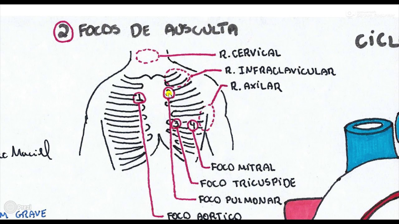 AUSCULTA CARDIACA (P.1) - AUSCULTA NORMAL e CICLO CARDÍACO