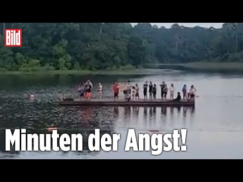 Auf Plattform gefangen: Krokodil umzingelt Schwimmer