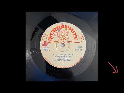 Dávno mám tě rád - Slavoj Procházka / Karel Kozel