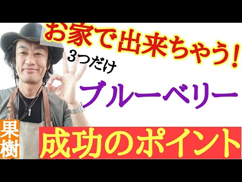 ブルーベリーを増やす:1つからたくさん作ろう!