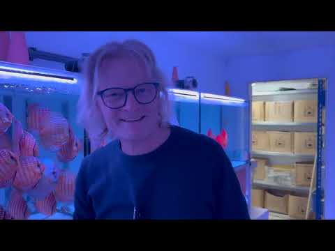 Legendary hobby discus breeder Alexander Piwowarski.