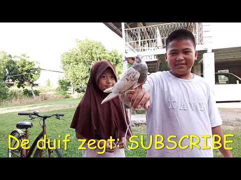 Tadlo and Iffah had fun with the pigeon