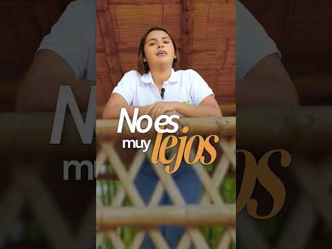 Despierta en La Subienda | Desconexión y Naturaleza a 45 Min de Cali