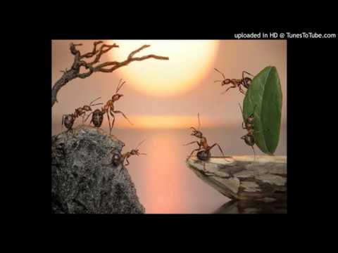 download lagu mp3 mp4 Free St12 Gula Dan Semut Mp3, download lagu Free St12 Gula Dan Semut Mp3 gratis, unduh video klip Free St12 Gula Dan Semut Mp3
