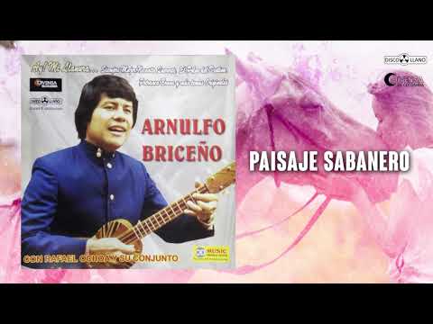 Paisaje Sabanero - Arnulfo Briceno