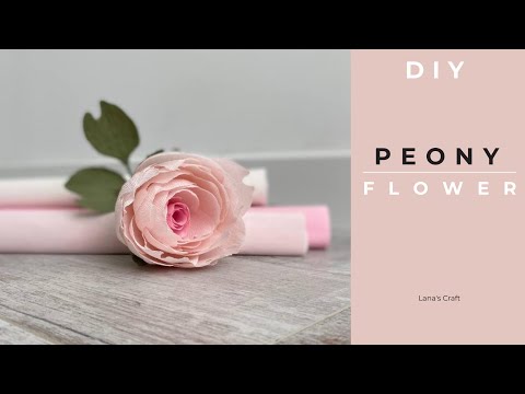 Paper peony | Crepe paper flower | DIY
