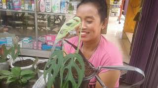 Download lagu NASIF JANDA BOLONG JADI SAMPAH // DULU DI SAYANG SEKARANG DIBUANG, Janda Bolong Yang Pernah Viral mp3 Download lagu NASIF JANDA BOLONG JADI SAMPAH // DULU DI SAYANG SEKARANG DIBUANG, Janda Bolong Yang Pernah Viral mp3