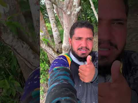 Pescaria raiz no Rio Fresco em São Félix do Xingu-Pará