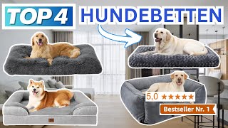 Beste HUNDEBETTEN 2026 | Top 4 Hundebetten Vergleich