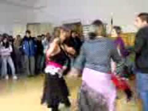 Gipsy cangar - Jedině vrapice školaa