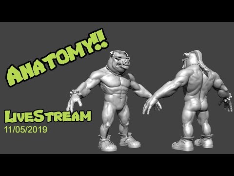 Anatomy Sculpting! - Livestream 11/05/2019