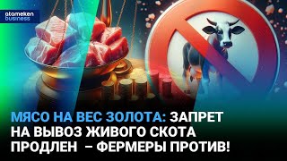 Мясо на вес золота: запрет на вывоз живого скота продлен – фермеры против! 