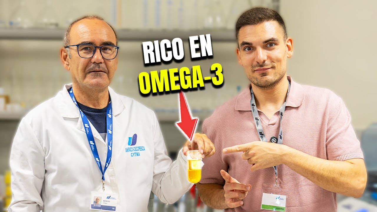 Descripción del Video