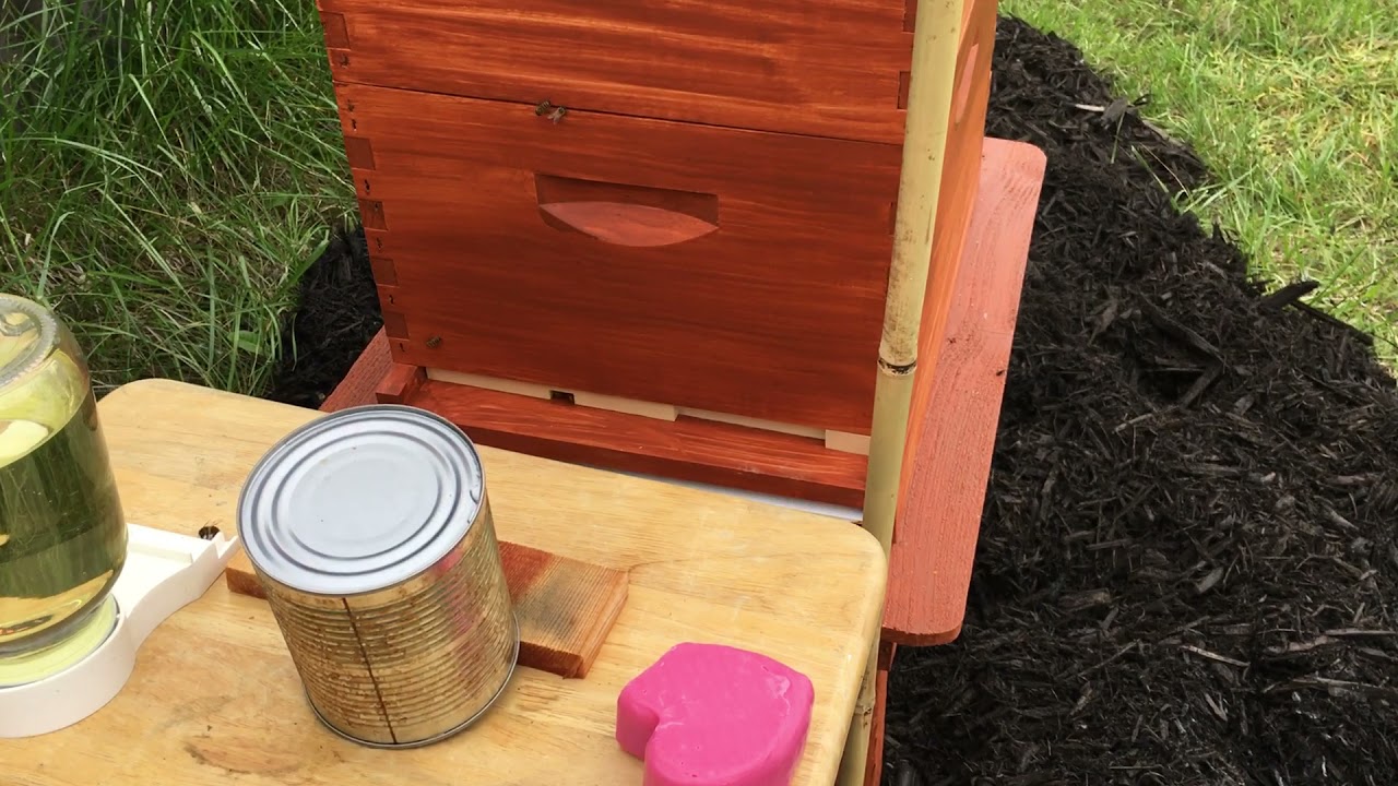 Start of an Apiary