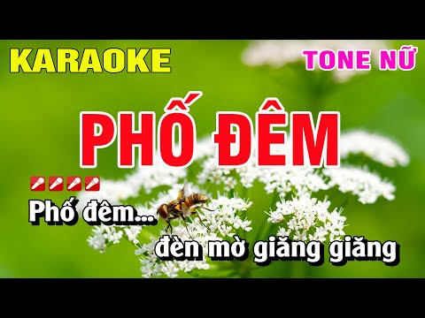 Karaoke Phố Đêm Tone Nữ Nhạc Sống | Nguyễn Linh