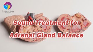 Sound Treatment for Adrenal Gland Balance | Healing Frequencies - Frequency Heals